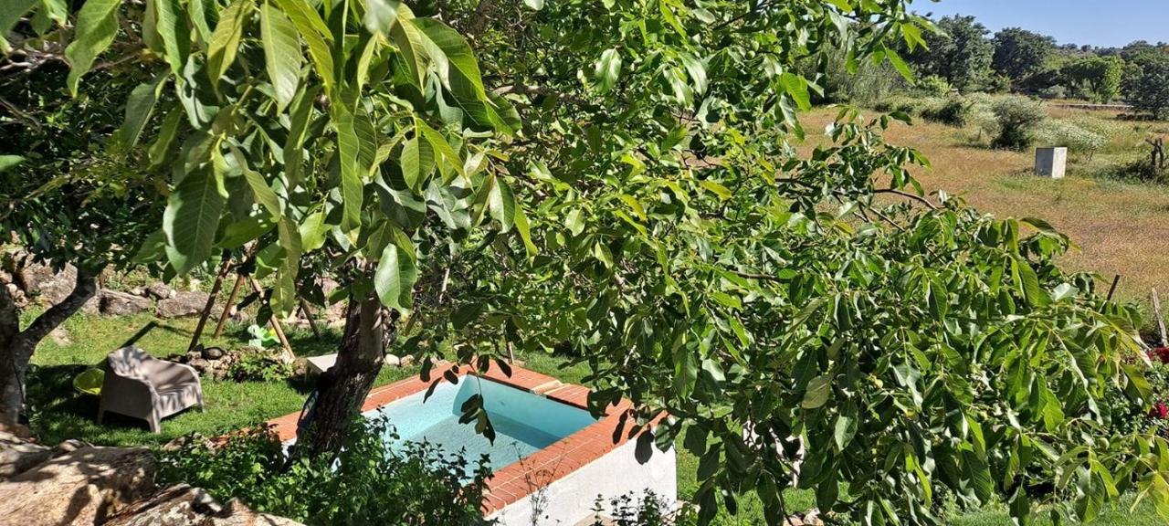 Casa Da Vizinha, Quinta Das Memorias Santo António das Areias Екстериор снимка